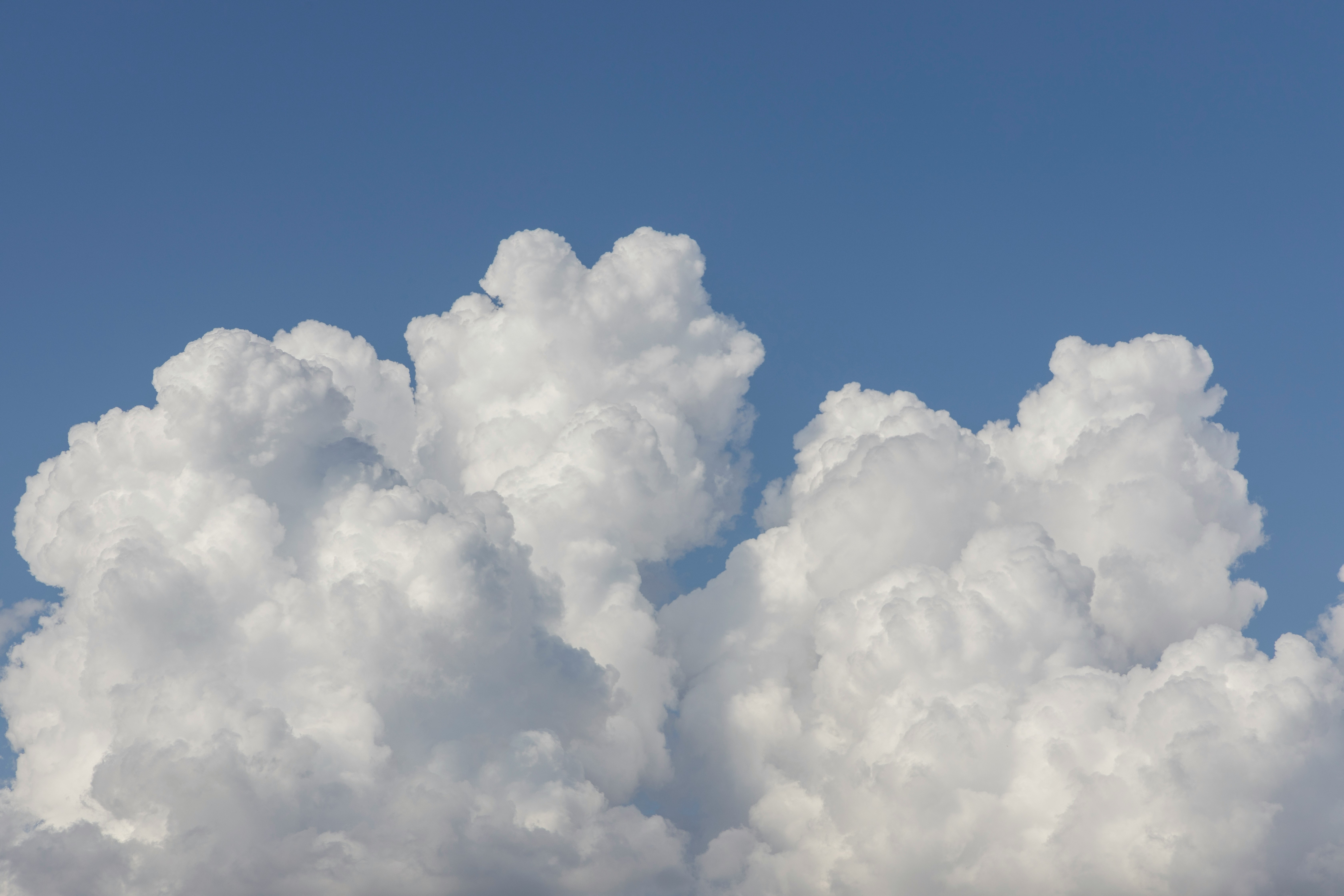 Gary Test